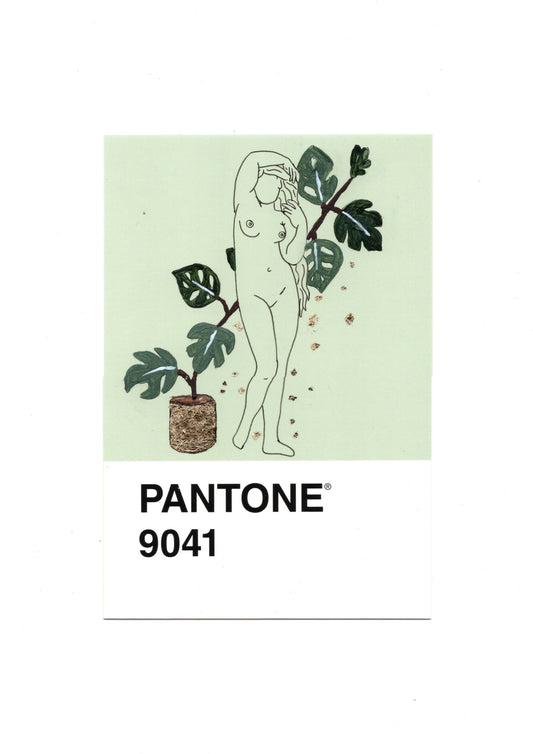 9041 Plants