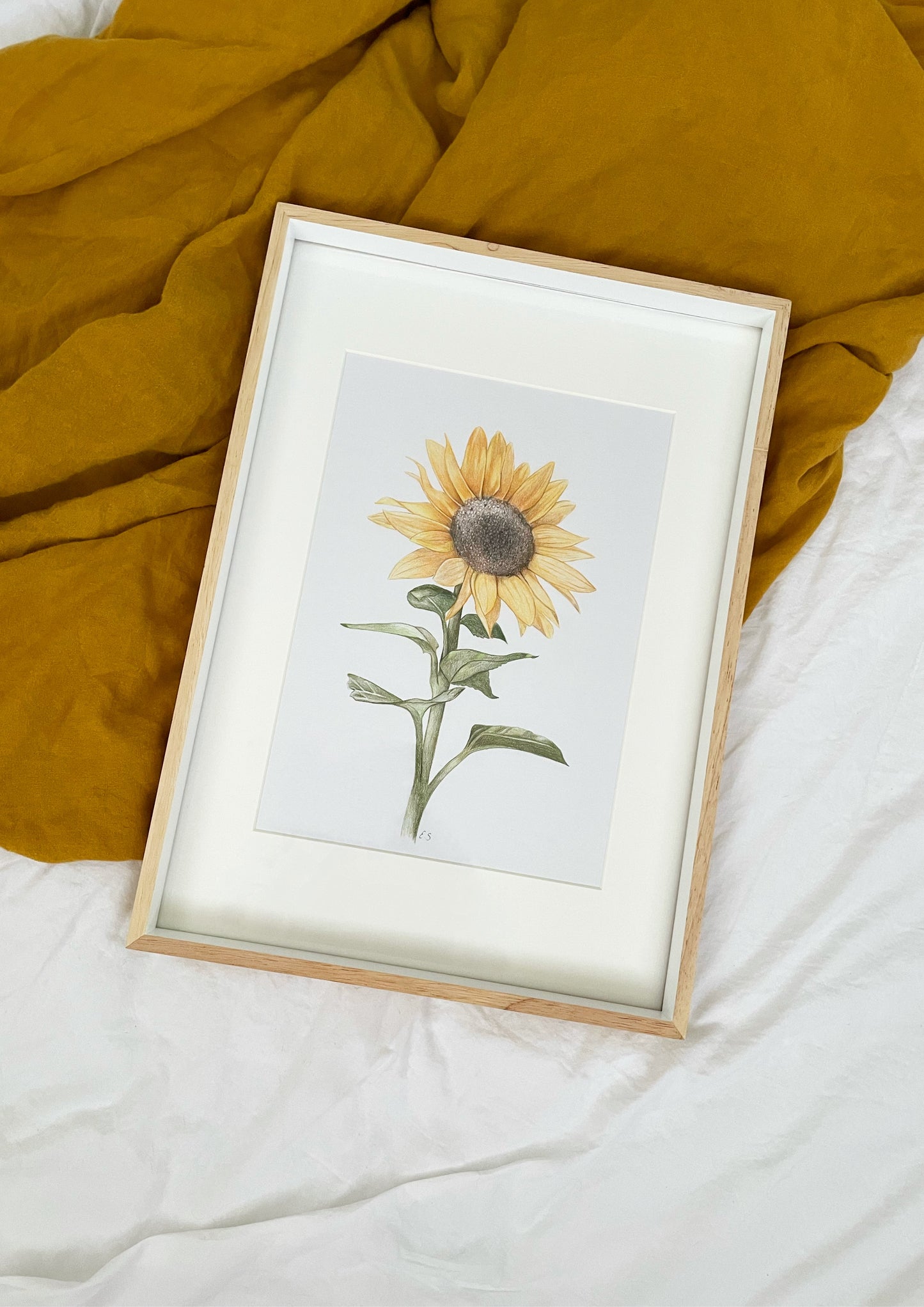 Sunflower Original