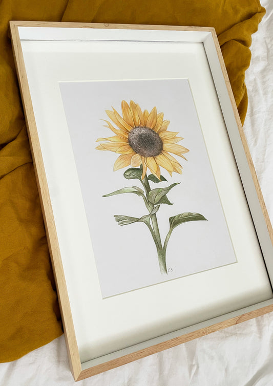 Sunflower Original